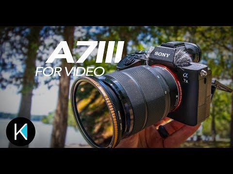 Sony a7III for Video REVIEW