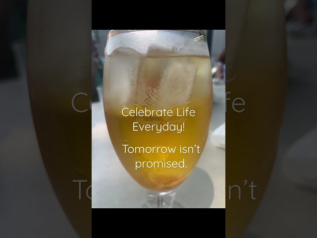 Celebrate Life Everyday #shorts #celebration #loveyourlife #lifeisgood #usa #yolo #love #blessed class=