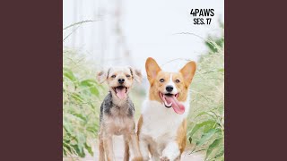 Notes for Pets