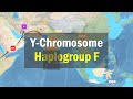 Distribution of Y-Chromosome Haplogroup F