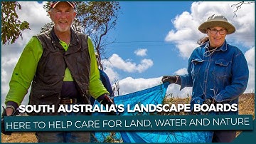 How Landscape Boards can help