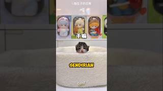 Kasian Si unyil gak punya teman sendiri 😭🥹 #shorts #animals
