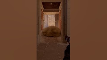 CS2 ANUBIS CAMERA SMOKE EASY  #cs2 #anubis #shorts