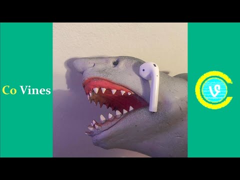 try-not-to-laugh-watching-shark-puppet-compilation-2019-(w/titles)-funny-shark-puppet-videos