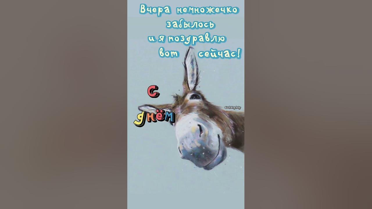 Забыл поздравить - YouTube