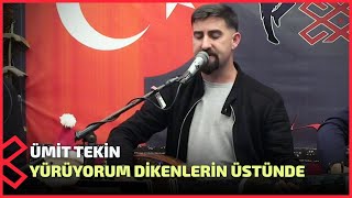 Ümit Tekin - Yürüyorum Dikenlerin Üstünde Resimi