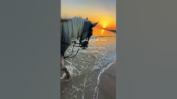 وَيَوْمَ يَعَضُّ الظَّالِمُ عَلَى يَدَيْهِ - سورة الفرقان آية 27