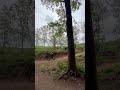 уже на следующей неделе куплю новый байк и сниму что нибудь покруче этого. #дроп #mtb #мтб #дроп