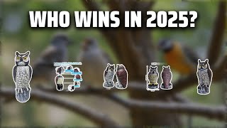 The Top 5 Best Owl Decoy in 2025 - Must Watch Before Buying!