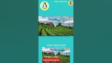 Apresentação do Pardus. LINUX PARA PC FRACO