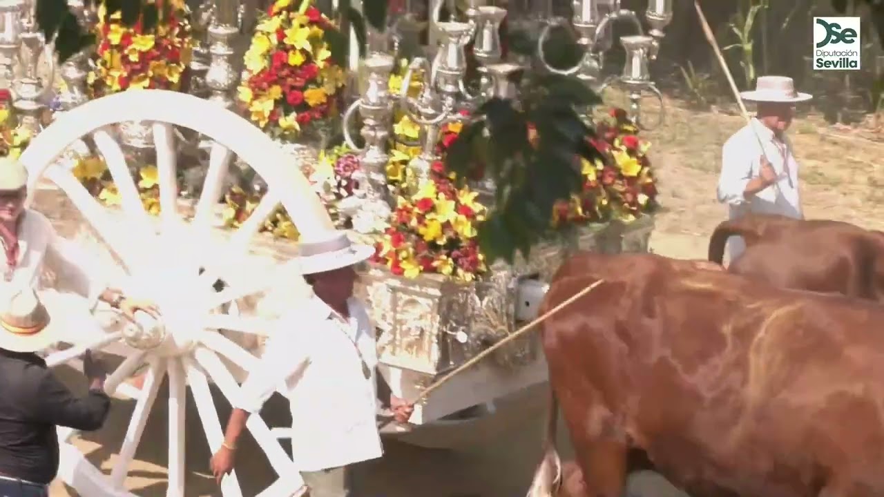 HERMANDAD DEL ROCIO DE OLIVARES. ROCIO 2025. VADO DEL QUEMA