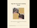 4 signs your hair is quietly asking for a topper 👀 | Sullivan Hairwear | Wichita, KS