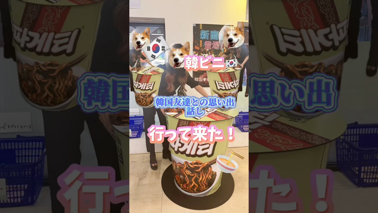 初めての韓ビニ！サランヘー！
