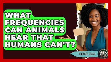 What Frequencies Can Animals Hear That Humans Can