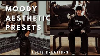 Moody Aesthetic Lightroom Presets | Free (Dng + Xmp)