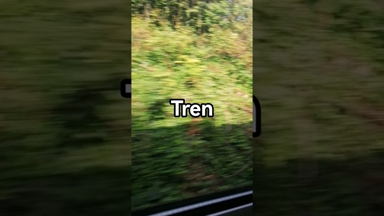tren espana