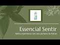 Essencial Sentir: por que ele é um dos melhores perfumes da Natura | Resenha