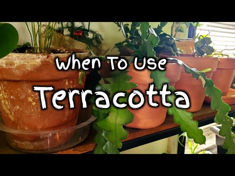 Video: Terracotta Clay Pot Info – Growing I Terracotta Containers