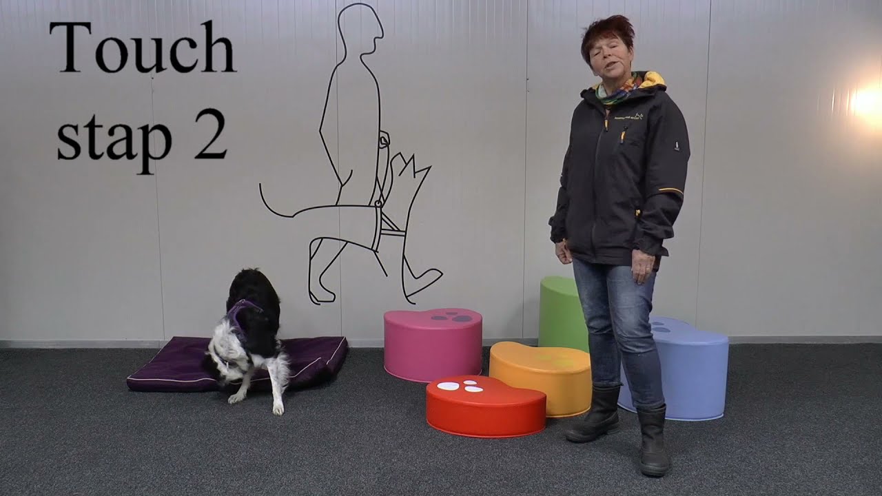 7   Hoe leer je jouw hond om de snoepjesmachine te bedienen?