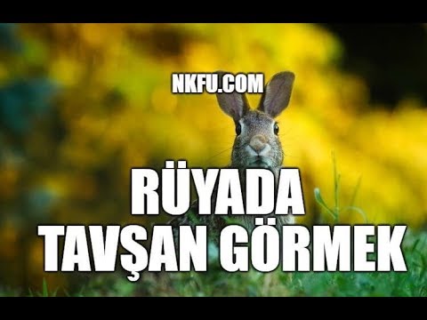 Ruyada Tavsan Gormek Youtube