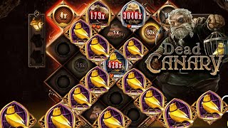 ⛏⛏DEAD CANARY ⛏⛏  BIG WIN ON NOLIMIT SLOT⛏⛏ BONUS BUY ON CASINO STAKE⛏⛏