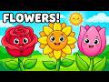 Learn Flower Names in English for Kids | Preschool Learning