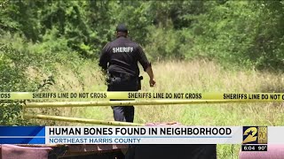 Human bones found in neighborhood