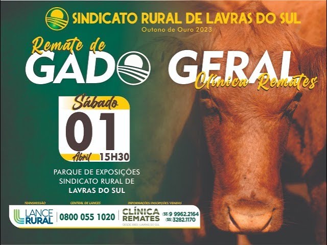 Remate Gado Geral – Clínica Remates 