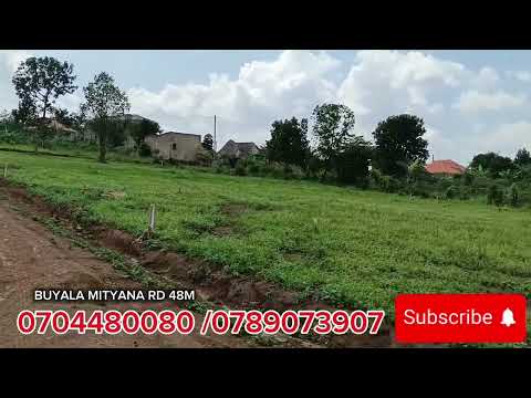 BUYALA ESTATE ON MITYANA RD JUST 500 MITRES OFF TARMAC RD