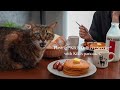 【ジブリ飯】米粉で作るキキのパンケーキ風/コスパ抜群仕切り弁当箱で作るお弁当/3日間のお昼ごはん記録/熊本の最強パワースポット/vol.78