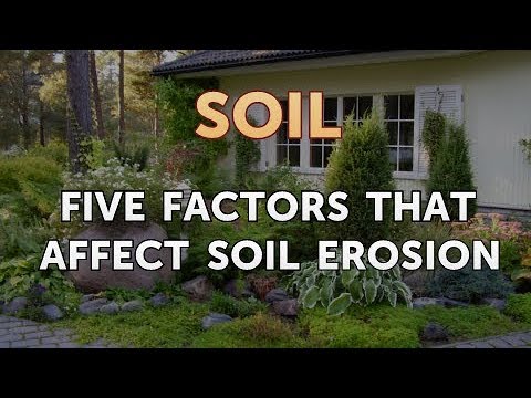 Video: Jací jsou činitelé půdní eroze?