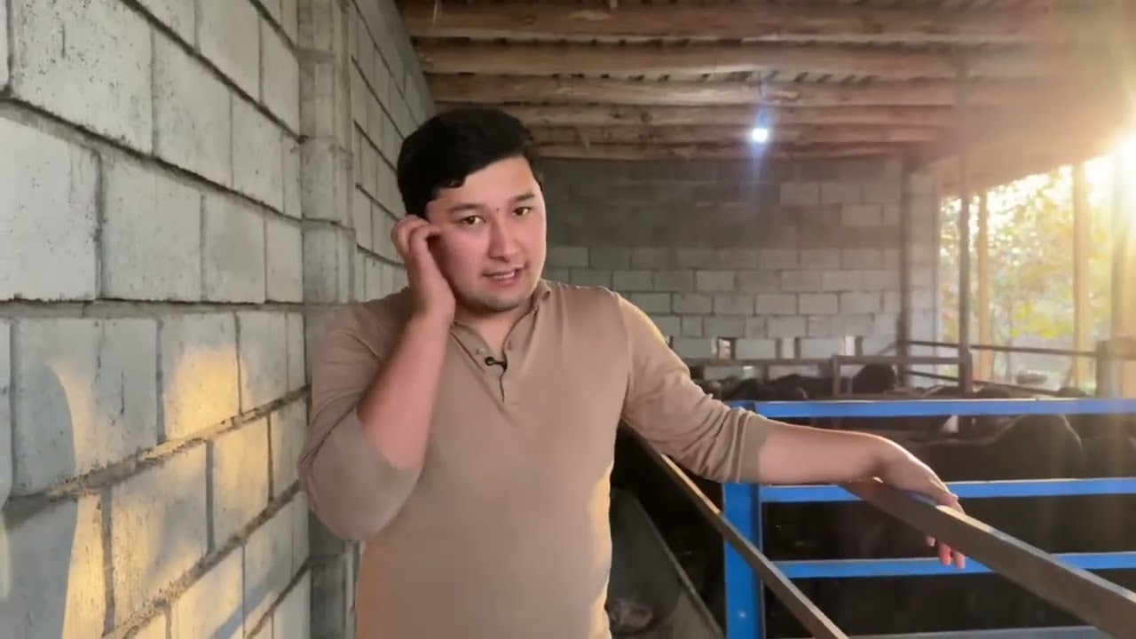 QOʻY BOQISH SIRlARI💰KATTA DAROMAD 1-qism