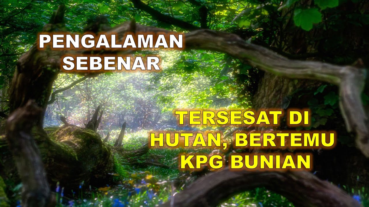 PENGALAMAN SEBENAR: TERSESAT DI HUTAN, BERTEMU KAMPUNG BUNIAN.