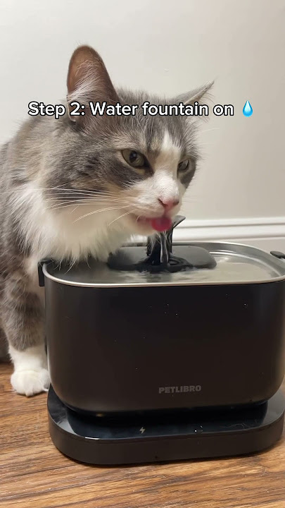 Is your cat a fan of running water? 😺 Try a water fountain!! #Cat #WaterFountain #petproducts