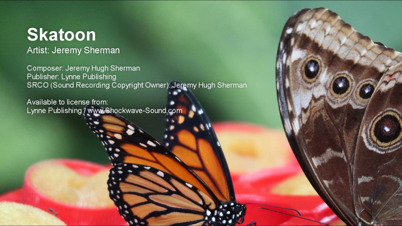 Watch Skatoon - Jeremy Sherman (Lynne Publishing) on YouTube Watch Skatoon - Jeremy Sherman (Lynne Publishing) on YouTube