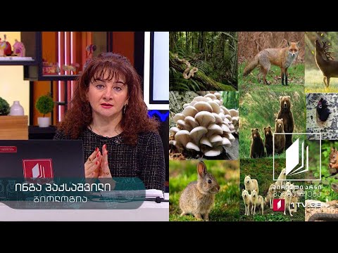 ბიოლოგია, XI კლასი - ეკოსისტემა - აბიოტური ფაქტორები  #ტელესკოლა