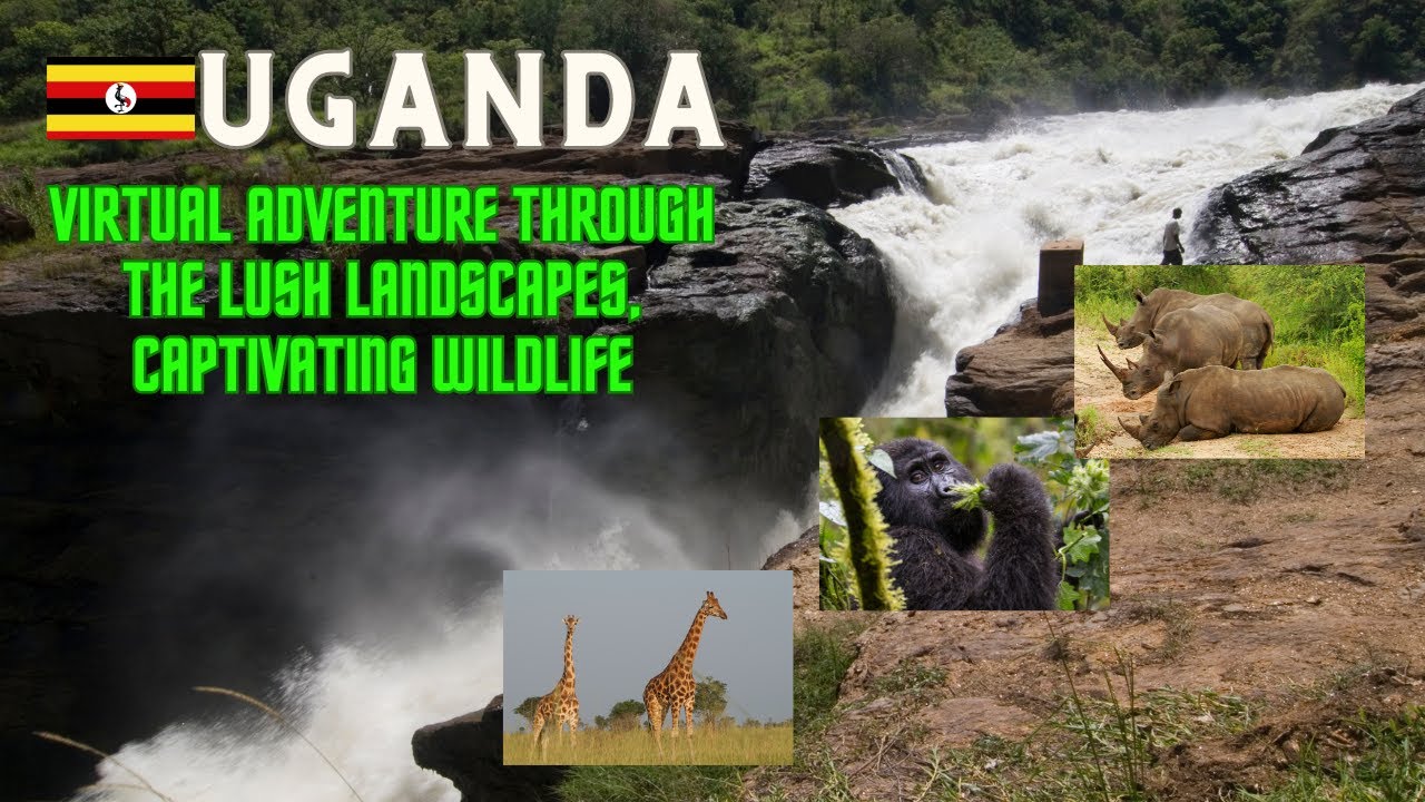 Uganda Travel Documentary | Travel & Events | Free Documentary [Full Documentary 4K]