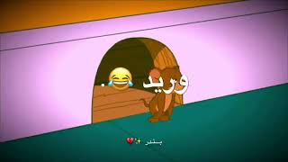 🤗تعال اشبعك موت ههههه تحشيش توم و جيري