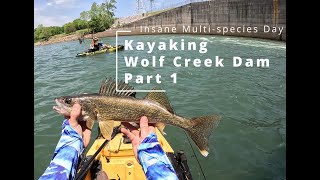 Insane MultiSpecies Day (LOOK AT THESE TROUT)! Kayaking Wolf Creek DamPART 1