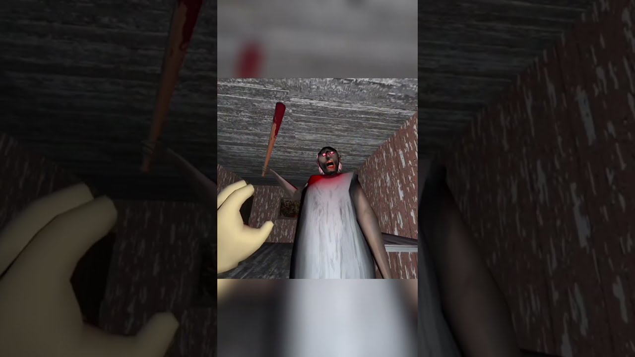 I Stole Grandma S TEDDY BEAR Granny Vrhorror Funny
