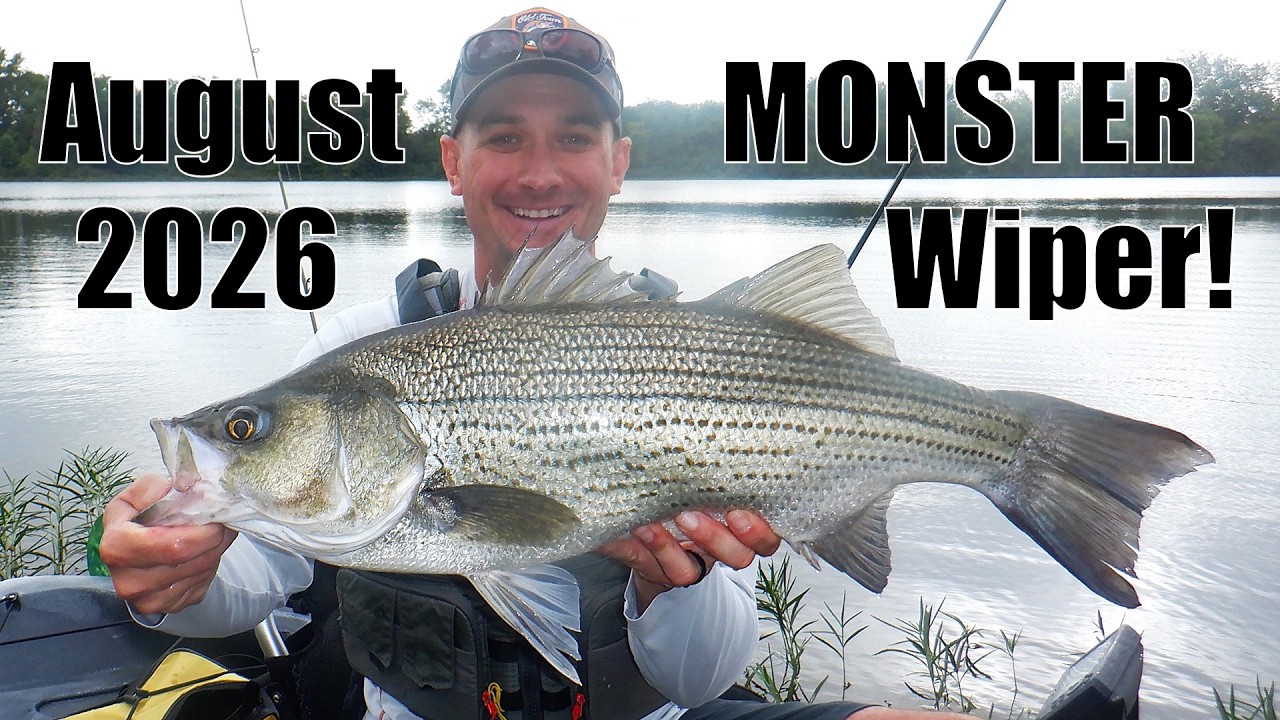 Indiana Kayak Fishing: Catching MONSTER Wipers! 8/22/26