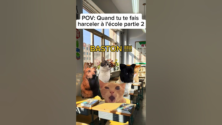 POV: Quand tu te fais harceler à l'école partie 2 #humour #catmemes #drole #sketch #pov