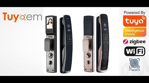 Password Unlocking Tuya Smart Fingerprint Door Locks