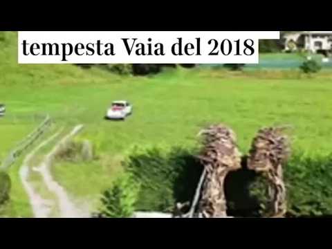 Video «Il bacio», la nuova opera di Marco Martalar a Molveno (Trento) realizzata con i rami distrutti d...