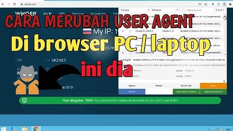 How to Change User Agent Switch manager in browser