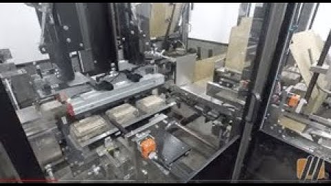 Massman Case Packer: Wraparound for Food Products