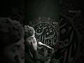 جيَنه ننشِد كَربلا مضِيعينها | مسَلم الوائليّ | سِتوريات حُسينية | تصميميَ