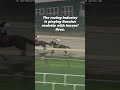 Horse Killed After Tragic Fall on Philadelphia Racetrack on Day of Preakness Stakes in Baltimore