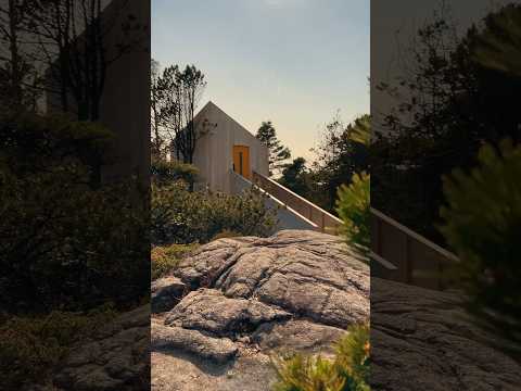 Whispers of Wilderness: