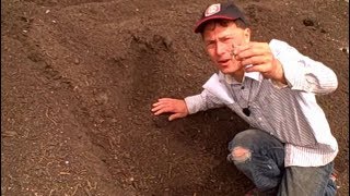 Is Plastic in Compost Bad ? Should I Use it?